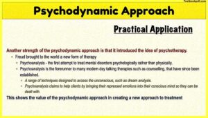 Psychodynamic Approach Pdf Download 11