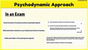 Psychodynamic Approach Pdf Download 15