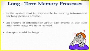 long-term-memory-Psychology-Memory-Pdf