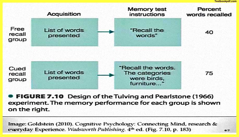 Psychology-and-Human-Memory