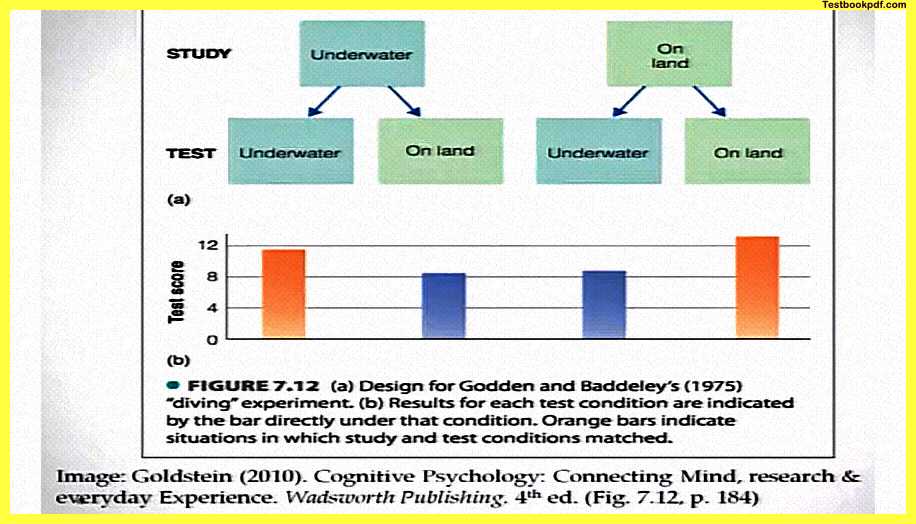 Psychology-and-Human-Memory