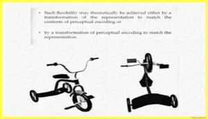 bicycle-example-Representation-In-Perception-Psychology