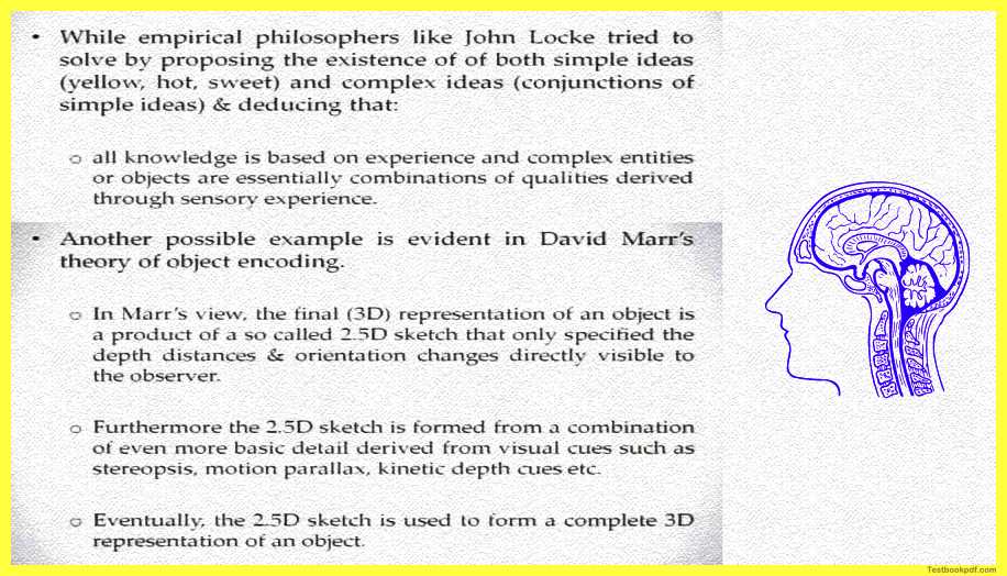 Representation-In-Perception-Psychology