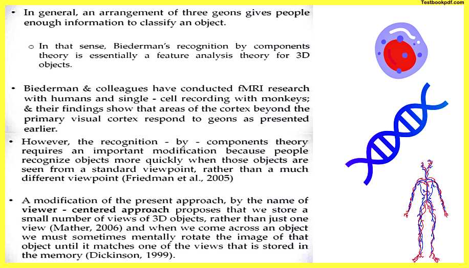 Biederman-and-colleagues-Theories-of-Object-Recognition-Psychology