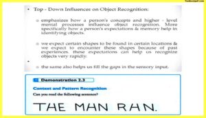 Theories-of-Object-Recognition-Psychology