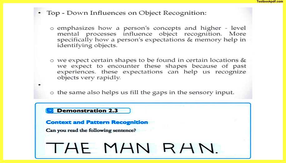 Theories-of-Object-Recognition-Psychology