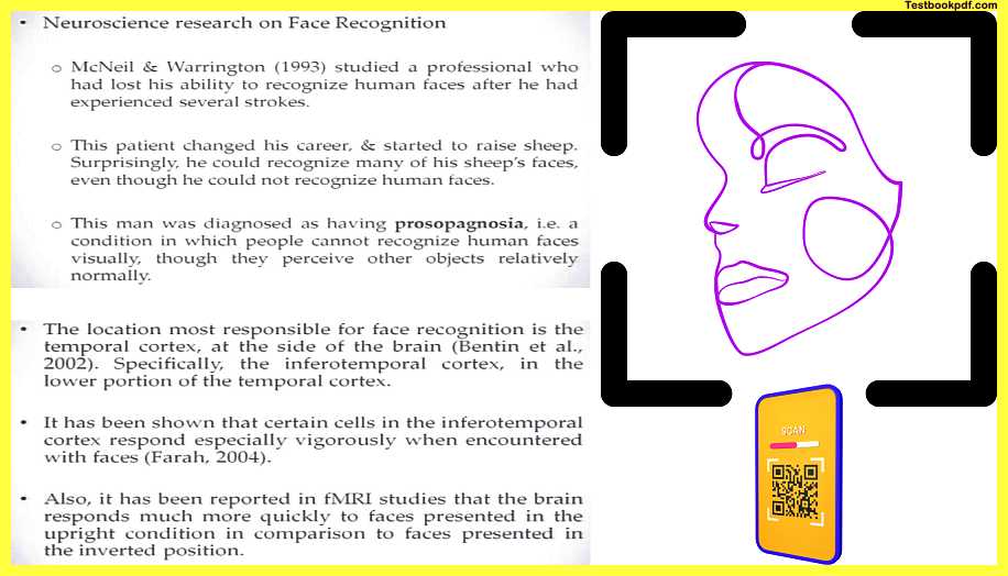 Neuroscience-Research-on-Face-Recognition
