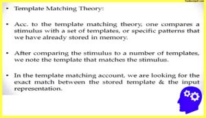 template-matching-theory-Theories-of-Object-Recognition-Psychology