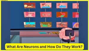 What-Are-Neurons-and-How-Do-They-Work
